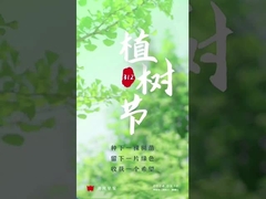 rouleau de convoyeur à oxyde d'aluminium